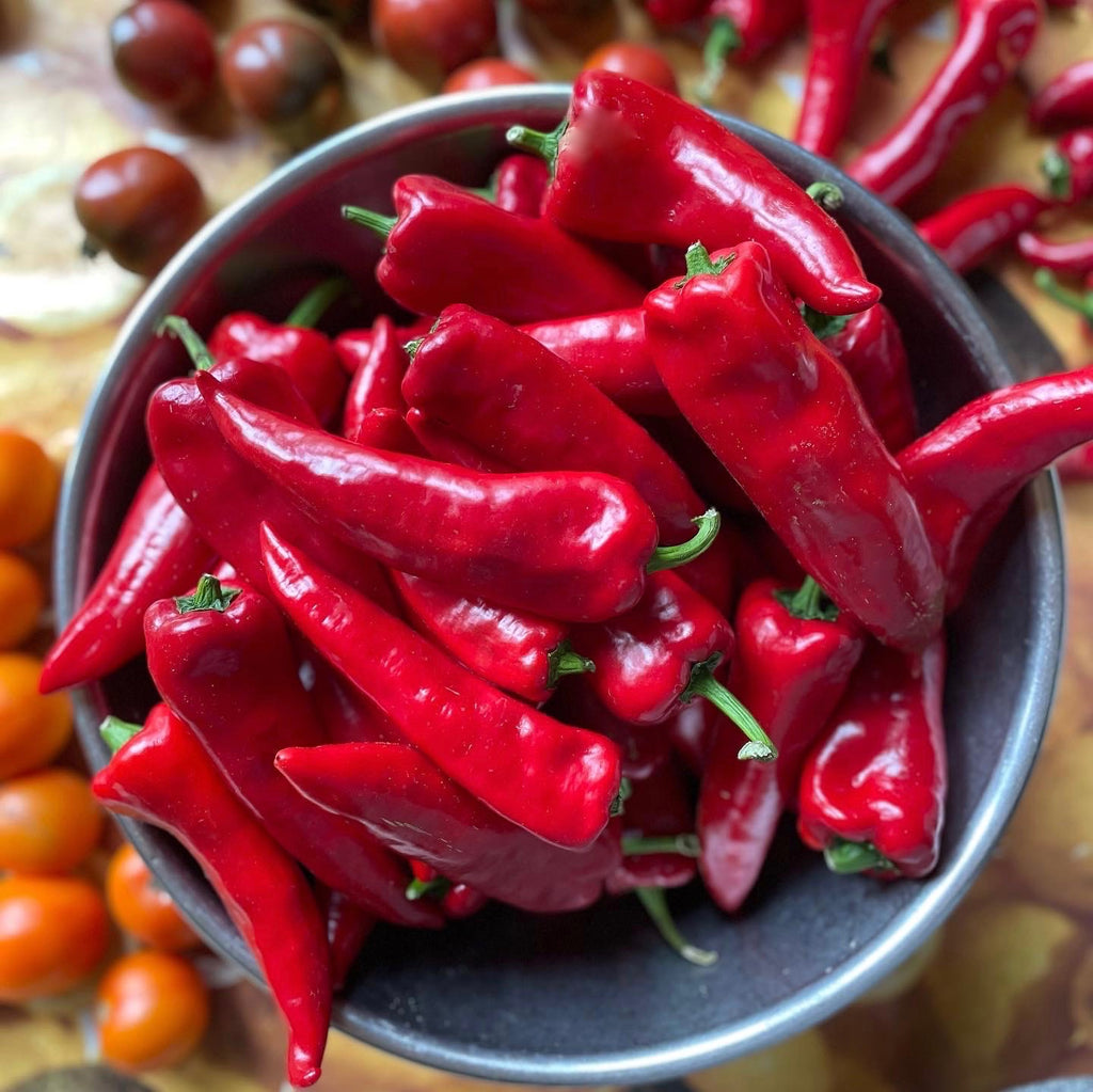 semences_piment rouge de maskinongé_biologique_semences_du_portage
