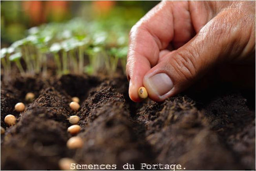 Tableau des densités au jardin