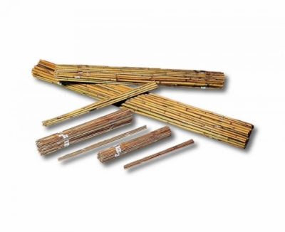 Tuteurs de bambou