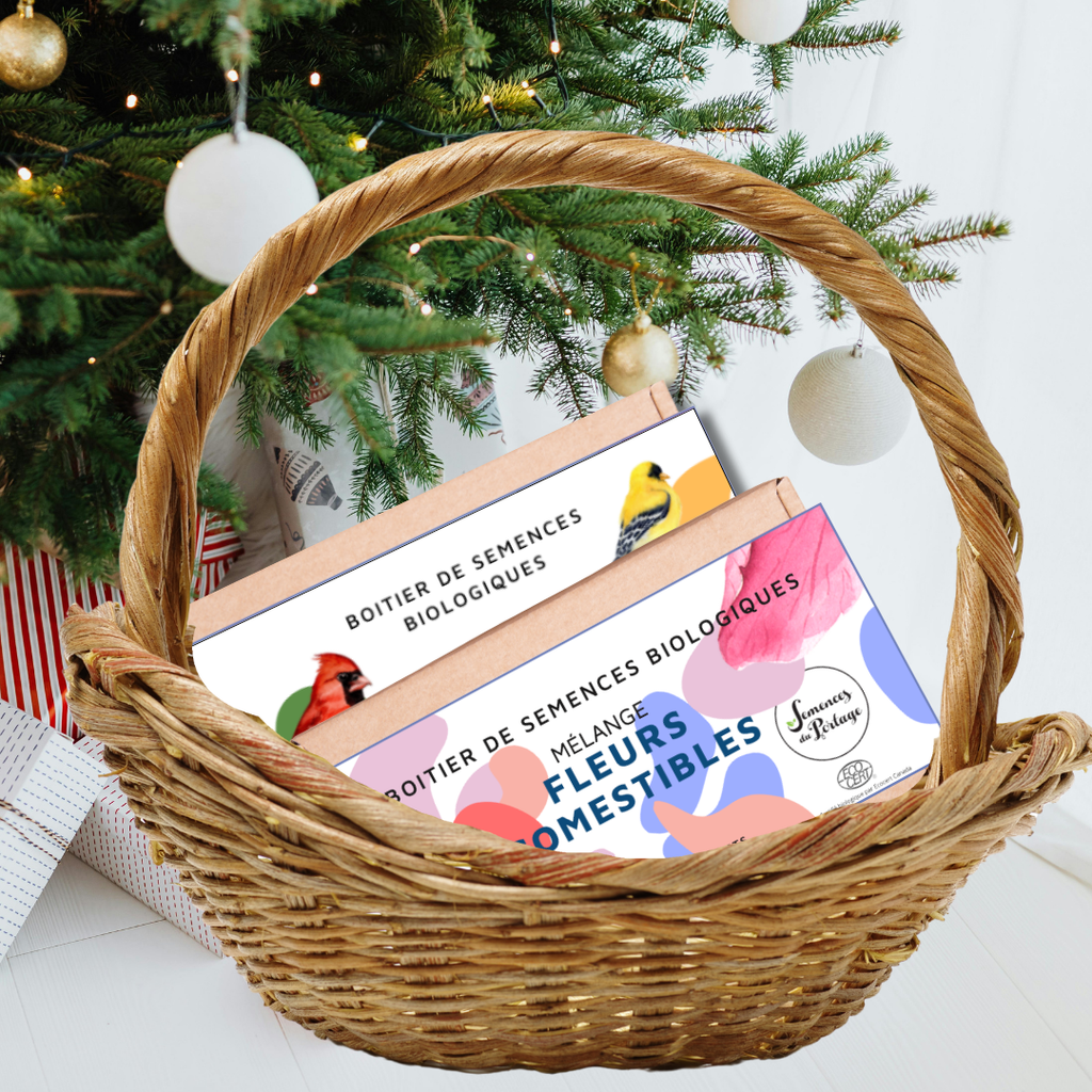 BOITIERS DE SEMENCES 