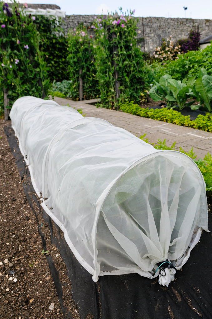 Filets et couvertures