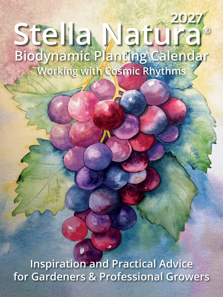 Stella Natura Lunar Calendar 2026 (English only)