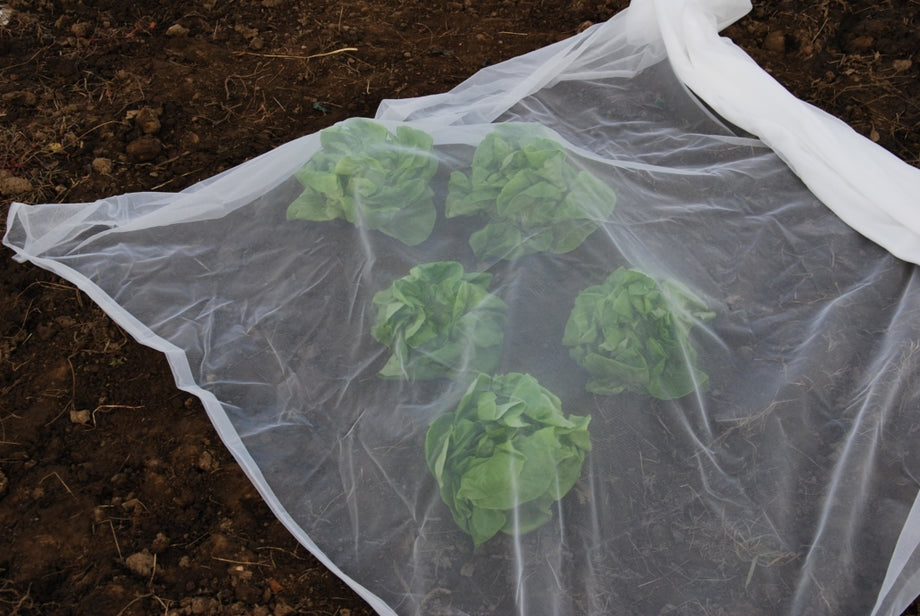 Filet de protection insectes - Bioplus - Nos produits horticoles et de  jardinage - Jardin2m