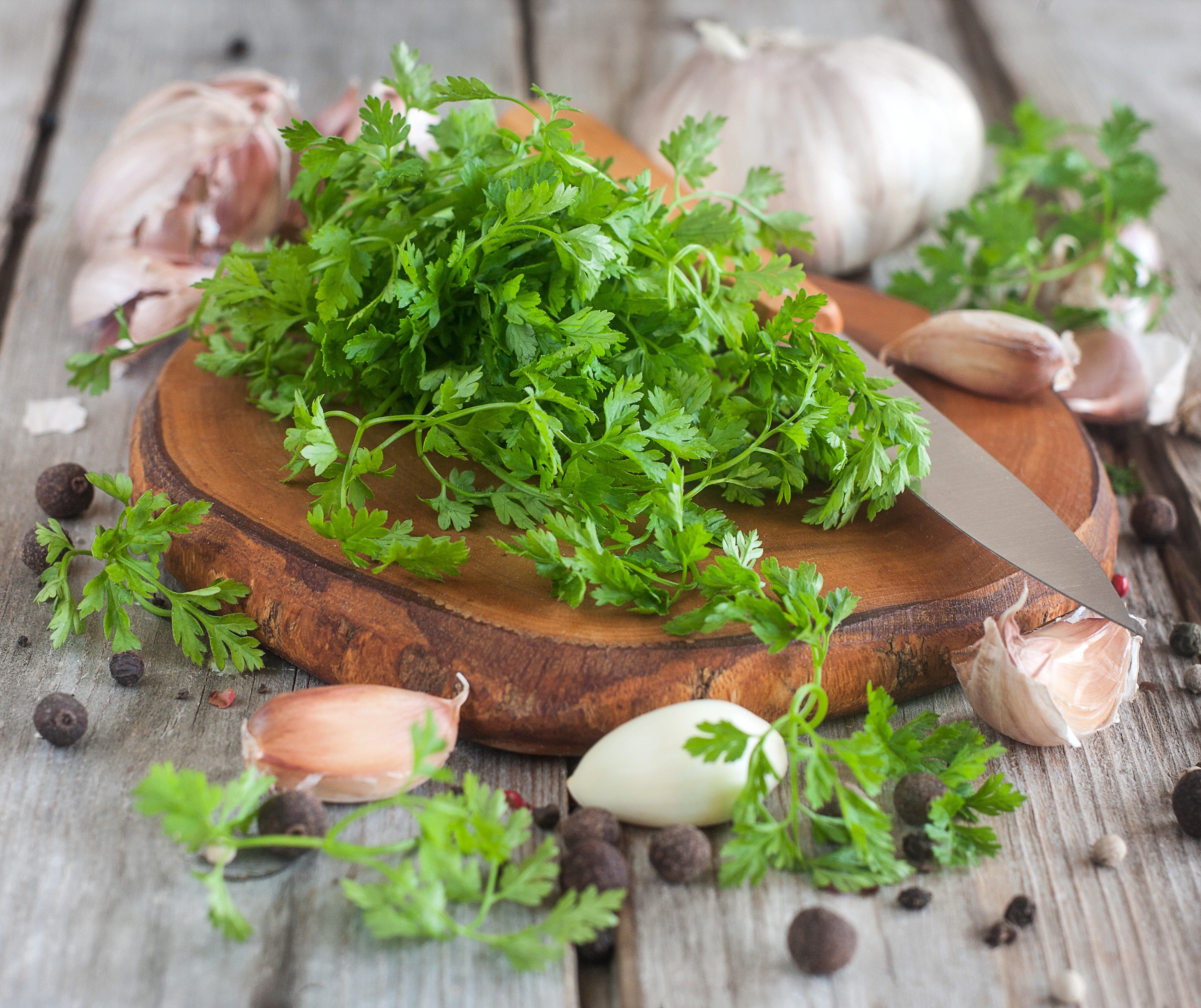Le cerfeuil : une aromatique subtilement anisée Le cerfeuil : une aromatique subtilement anisée