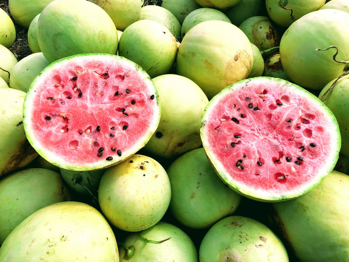 Melon d'eau King and Queen Winter Semences du Portage