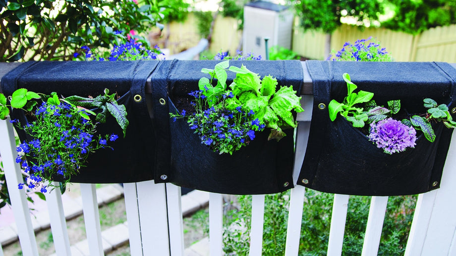 Decorasian Pot De Fleurs Suspendu Mural En Jacinthe D'Eau - Support Inclus - 28x15cm