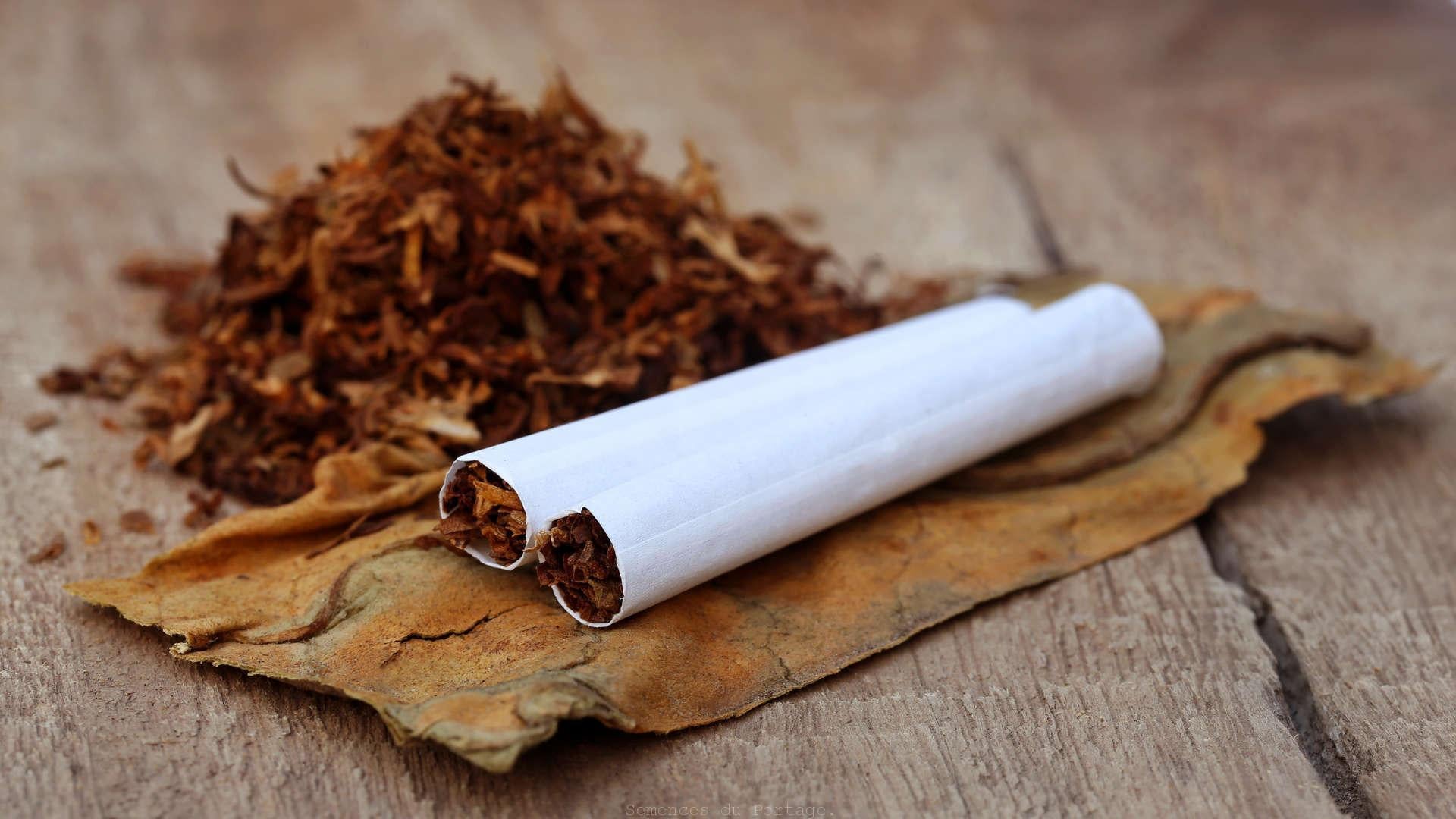 how to light a cigarette in the wind How to Light a Cigar - An Illustrated Guide how to light a cigarette in the wind How to Light a Cigar - An Illustrated Guide